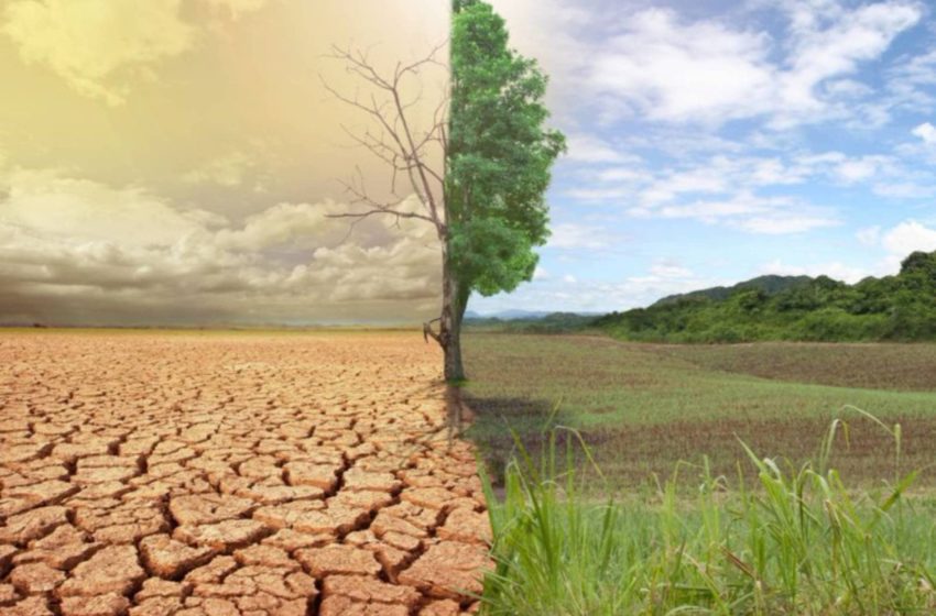  17 de junio, Día mundial de la lucha contra la desertificación y la sequía 2021