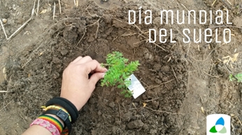  Día mundial del suelo (World Soil Day)
