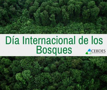  Día internacional de los bosques
