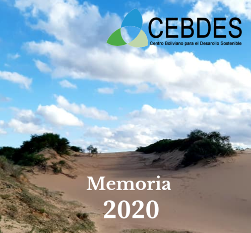  Memoria CEBDES 2020